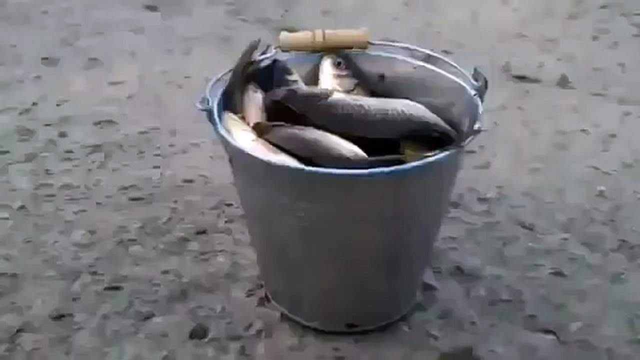 comedy  14