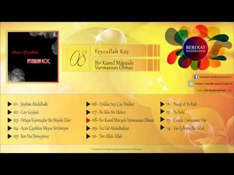 Bir Kamil Mürşide Varmassan Olmaz - Feyzullah Koç