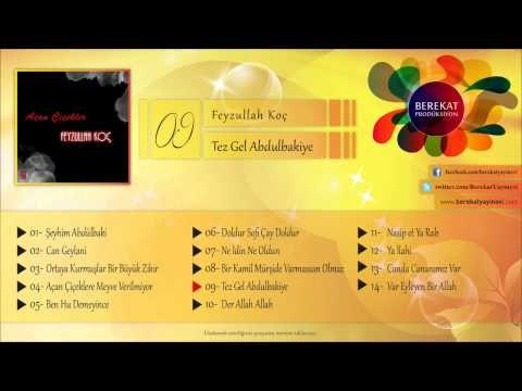 Tez Gel Abdulbaki'ye - Feyzullah Koç