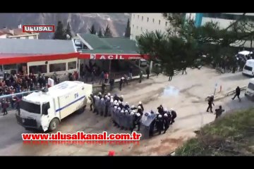 Eroğlu: Artvin'de eylemciler ağaç kesti, cezalandırılacaklar