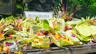 Jalan2Men 2015 - Bali - Sujud di Ubud