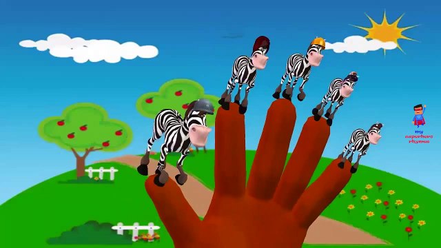 Finger Family Rhymes Zebra Cartoons for Children | Finger Family Children Nursery Rhymes for Kids 3D