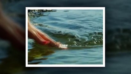 Yaari (Bachaana) Video Song HD - Shafqat Amanat Ali