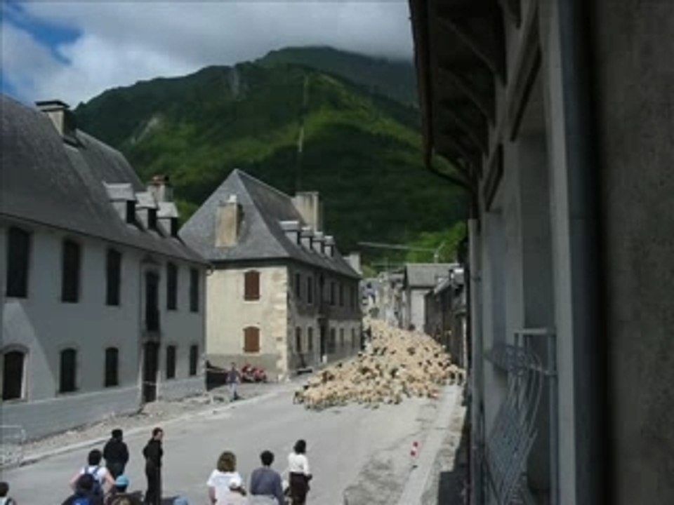 TRANSHUMANCE 2007