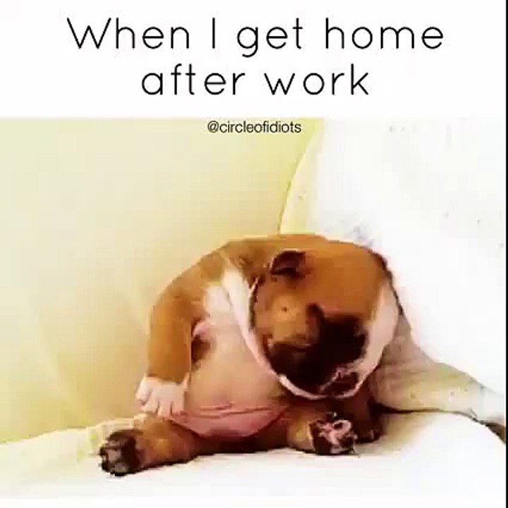 afetr work