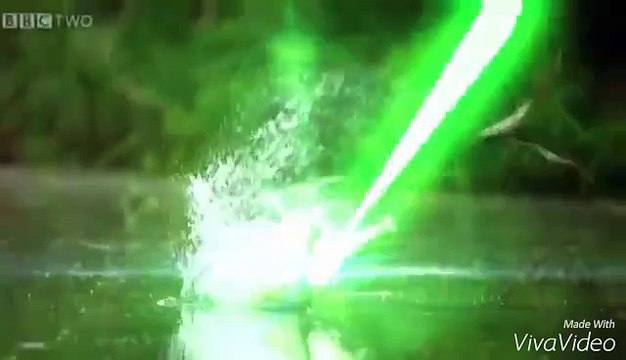 Red Plane Productions Intro