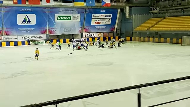 XXXVI чемпионат мира по хоккею с мячом. Монголия Украина. Драка. 14.02.2016