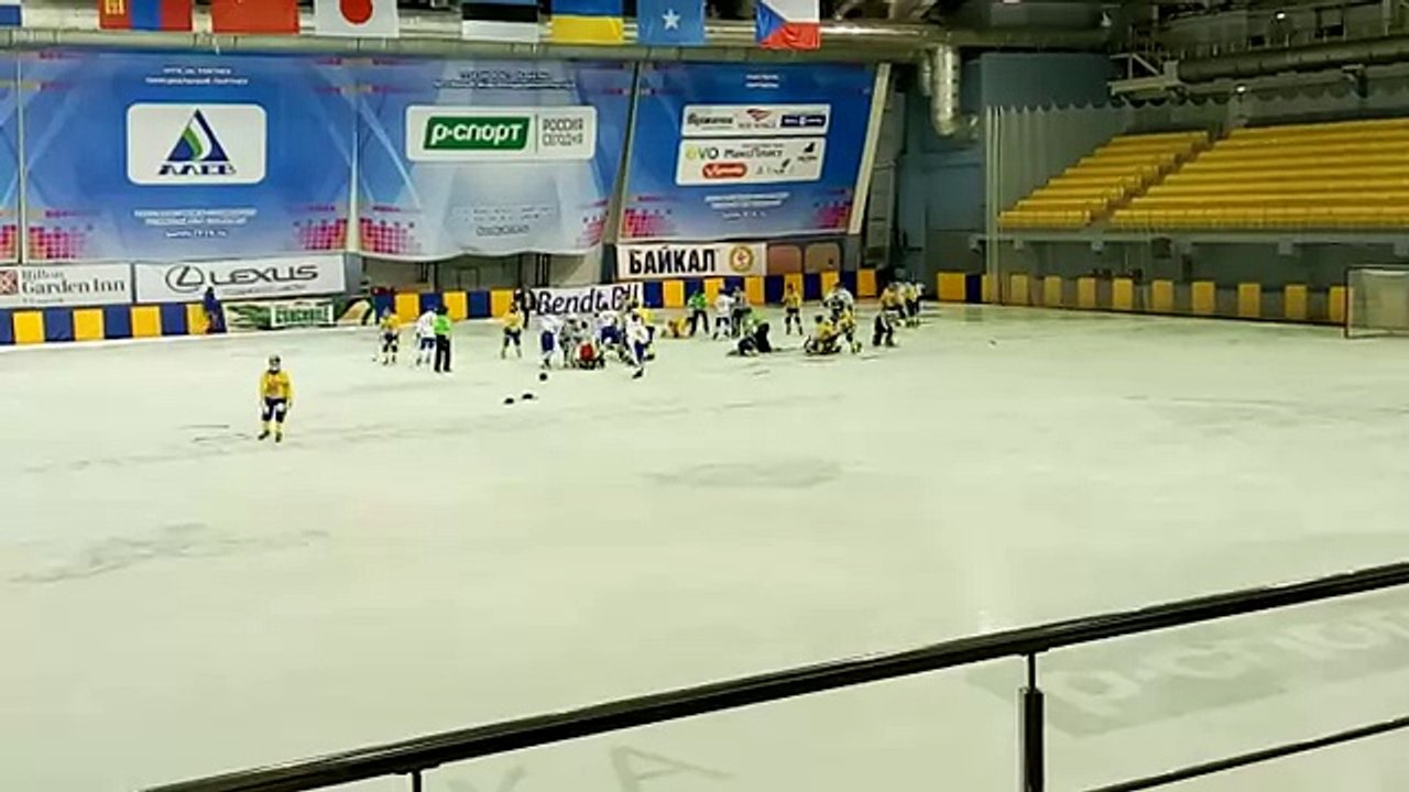 XXXVI чемпионат мира по хоккею с мячом. Монголия Украина. Драка. 14.02.2016