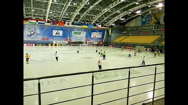 XXXVI чемпионат мира по хоккею с мячом. Чехия-Украина. 10.02.2016