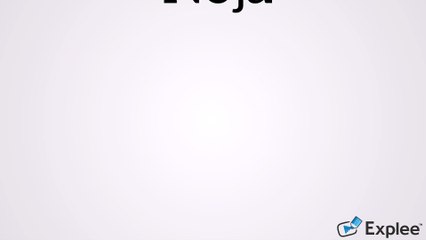 Flavius Noja Alexandru - online marketer, web designer si antreprenor