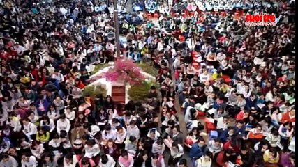 Tin nóng 24h ngày 20-2-2016- Nhiều xe bị ném đá trên cao tốc