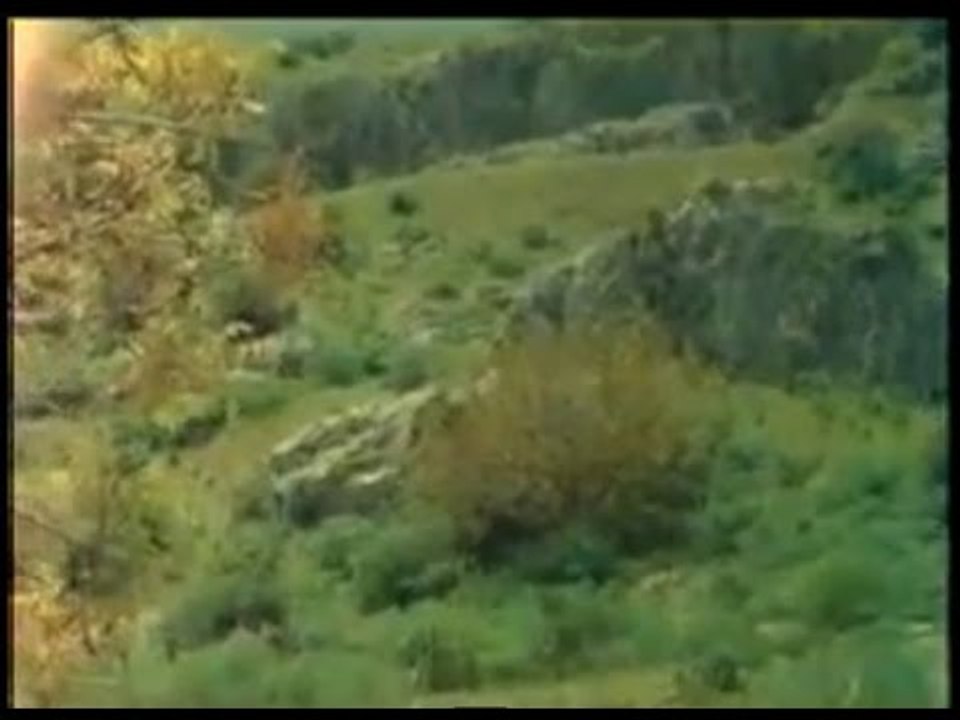 Uzun Gece - Eshab-ı Keyf