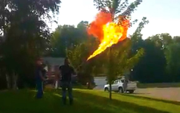 Hornets Nest Gets the Flamethrower Treatment