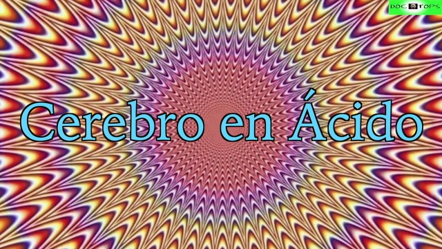 Top 15 Ilusiones Ópticas Más Increíbles Y Locas Del Mundo