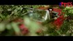 Fitoor Full movie - Aditya Roy Kapur - Katrina Kaif - Tabu