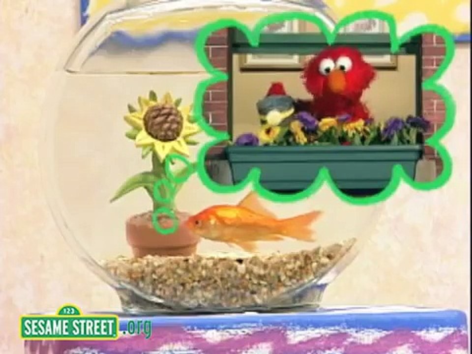 Elmos World: Flowers Active