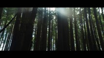 Pete's Dragon Official US Teaser Trailer