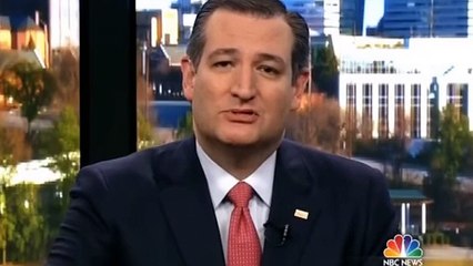 Chuck Todd calls out Ted Cruz's alternate state of reality and he blinks