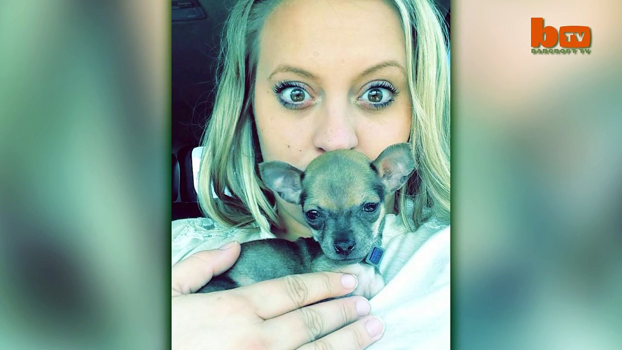 Turbo-Roo Cute Two-Legged Chihuahua Given Wheels To Move Independently