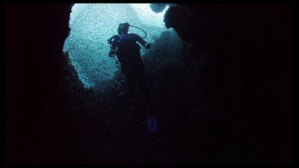 Stock Footage Video, Royalty-Free HD, 4K -