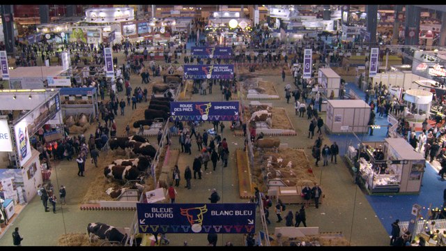 Jeu-Concours : Gagnez des places pour le film Saint Amour avec Depardieu et Poelvoorde !