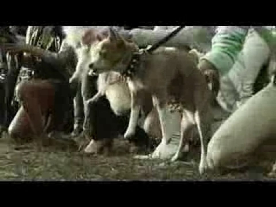 Bataille homme/femme