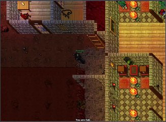 Gameplay Tibia Server Part5 No sounds for the Game