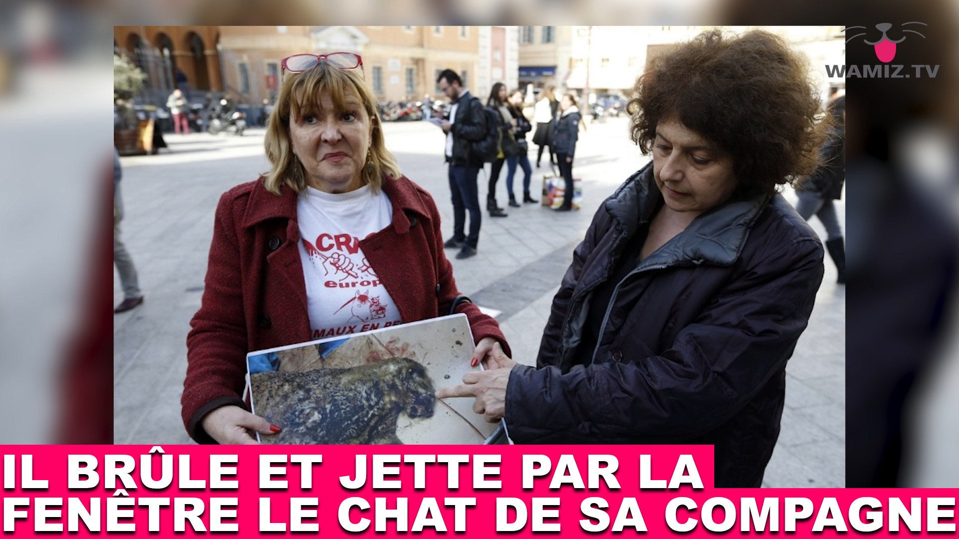 Il Brule Et Jette Par La Fenetre Le Chat De Sa Compagne L Histoire Dans La Minute Chat 139 Video Dailymotion