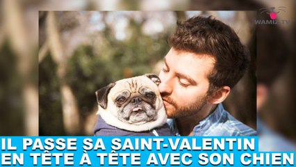 Ils vont passer la Saint-Valentin en tête-à-tête avec leur chien: Un  animal, lui, ne vous déçoit jamais - La DH/Les Sports+