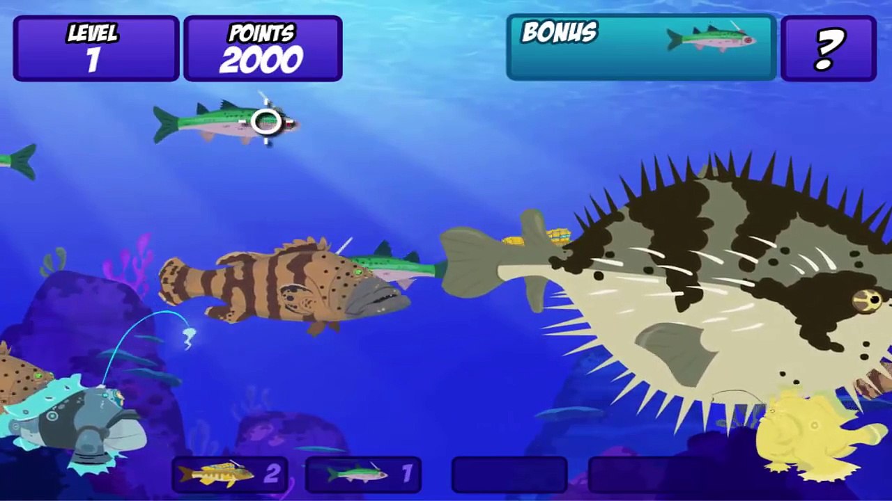 Wild Kratts - Frogfish Feast