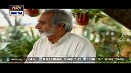 Watch Mohe Piya Rung Laaga Episode – 17 – 22nd February 2016 on ARY Digital