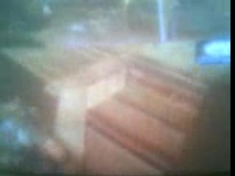 Bug gears of war TatouMagnum et K2o le cobra