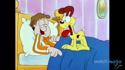 Cats Vs Dogs: Which Makes a Better Pet? Video