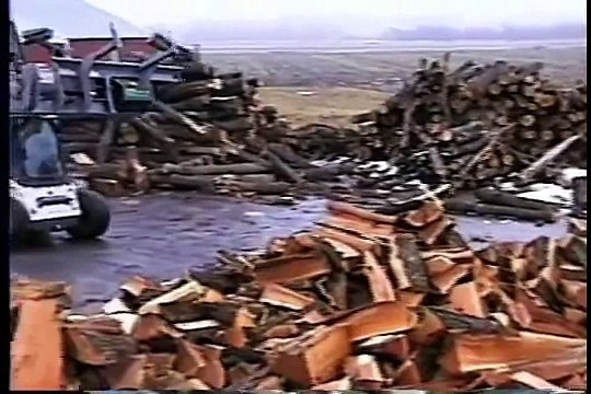 Отличный способ заготовки дров