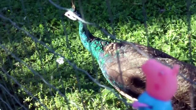 Свинка Пеппа. Мультик из игрушек. Новая серия - Зоопарк. Часть 2. Peppa Pig Zoo 2.