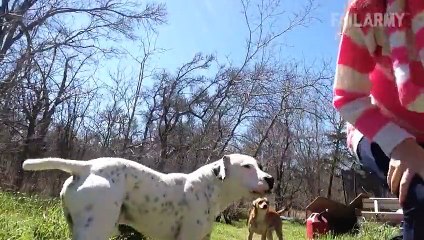 Best Fails of the Week 3 February 2016 __ _I'm OK_ Wheres my Jetski!__FailArmy - Video Dailymotion