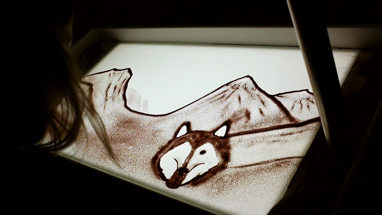 sandshow by passion2move // husky experience as a birthday gift