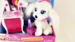 BARBIE Glam Up Your Puppy - Color Change Hair, Nails + Eyeshadow Barbies Pampered Pup Salon Toy