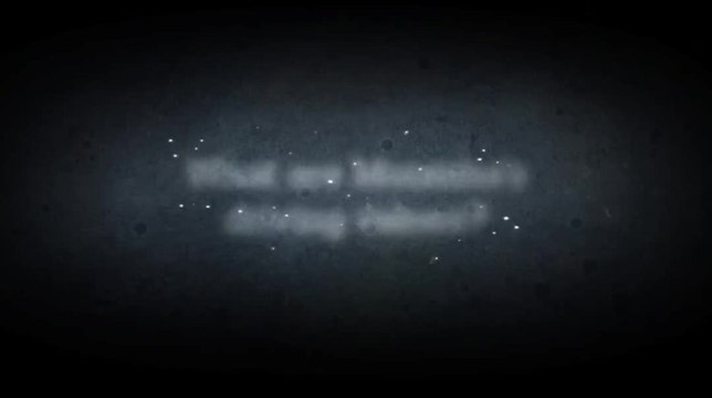 What are Moomba's driving values?