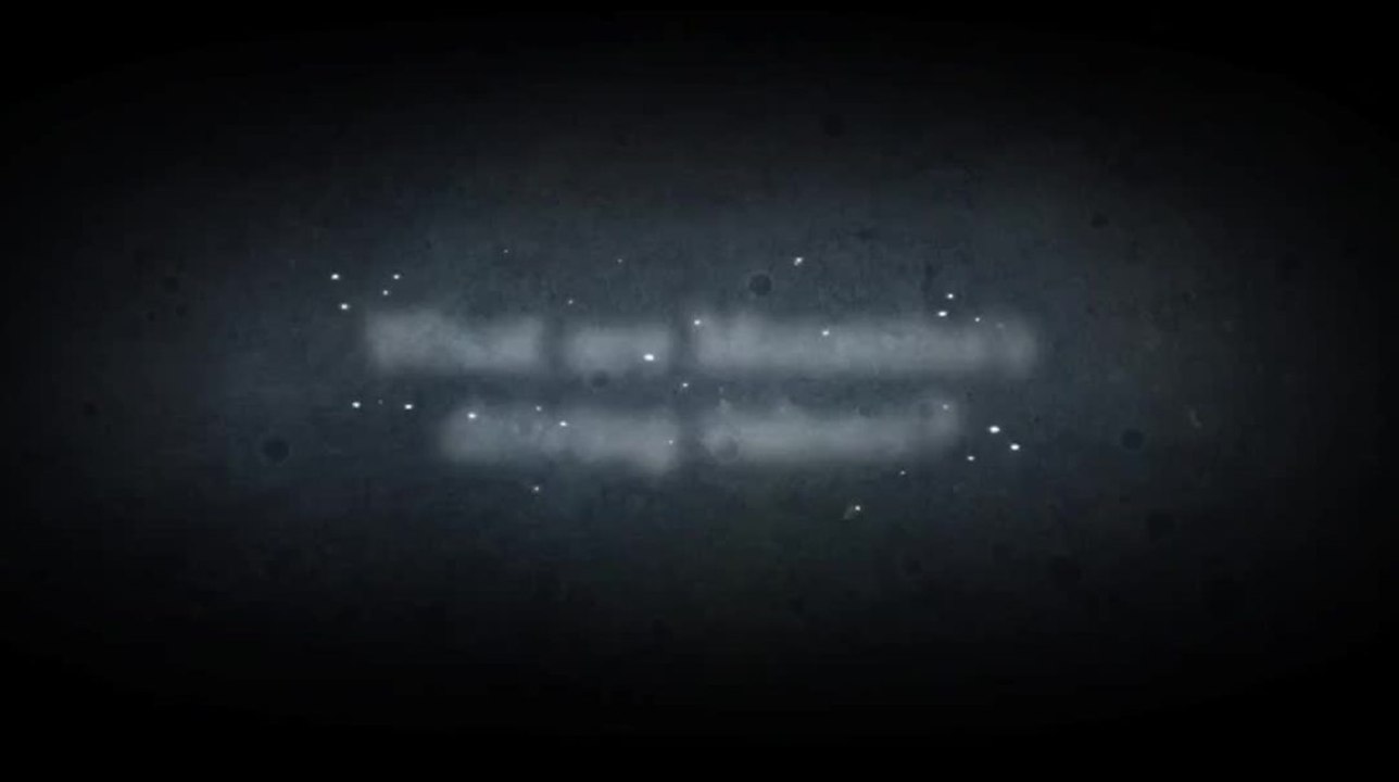 What are Moomba's driving values?