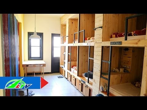 Khám phá khách sạn Beepub độc nhất Đà Lạt | LTV