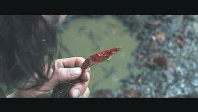 바카라하는법▶【°ＵＳＢ１１７、ＣＯＭ°】☎바카라하는법★