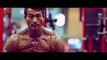 Aesthetic To The Max  Bodybuilding And Fitness Motivation 2015 [HD]