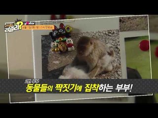 [기막힌 부부 감별쇼! 이휘재, 최희의 리얼리 Really] "1회 예고"