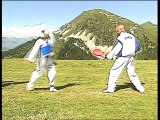 Taekwondo - Techniques supérieures de haute compétition