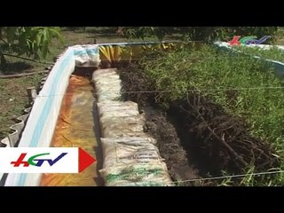 Sản xuất giống và nuôi lươn thương phẩm hiệu quả | HGTV