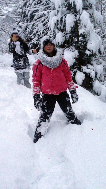 autruche-dans-neige-fraiche