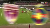 All Goals Romania Divizia A - 22.02.2016, FC Voluntari 3-1 Steaua Bucuresti -