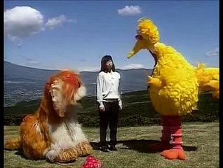 Big Bird in Japan Part 3