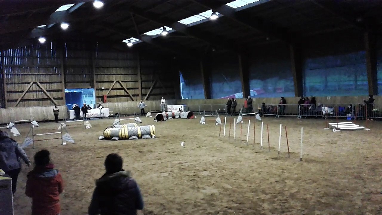 Jumping + Come Back